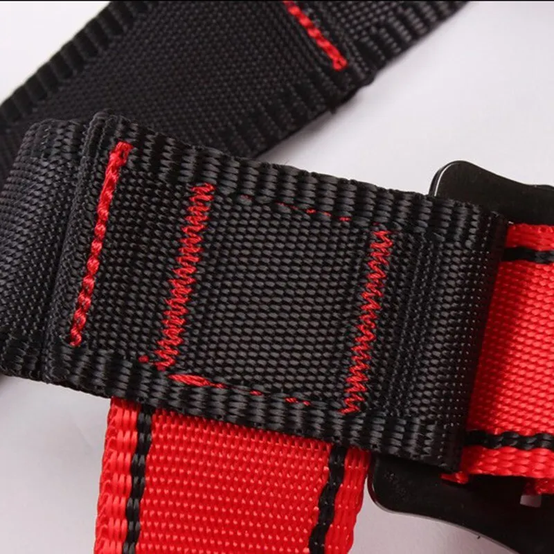 Anti-Fall Safety Belt