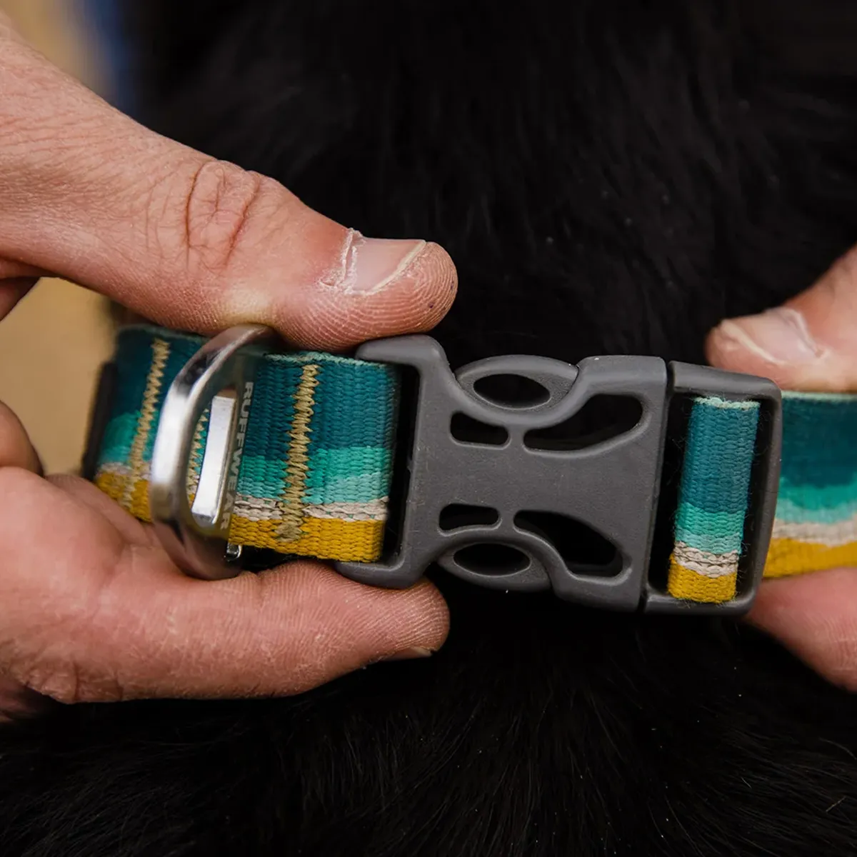 Crag Reflective Dog Collar