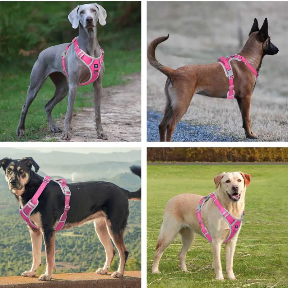 Hank 3M Reflective Harness for Puller Dogs (Grey/Pink)