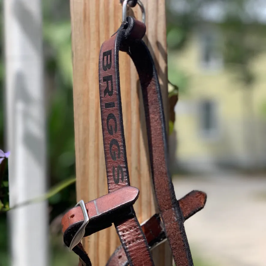 Leather Harness